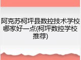 阿克苏柯坪县数控技术学校哪家好一点(柯坪数控学校推荐)
