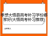 孝感大悟县高考补习学校哪家好(大悟高考补习推荐)