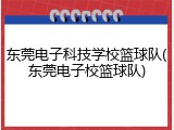 东莞电子科技学校篮球队(东莞电子校篮球队)