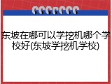 东坡在哪可以学挖机哪个学校好(东坡学挖机学校)