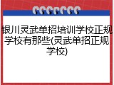 银川灵武单招培训学校正规学校有那些(灵武单招正规学校)