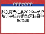 黔东南天柱县2026年单招培训学校有哪些(天柱县单招培训)