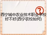 西宁城中农业技术职业学校好不好(西宁农校如何)