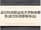 武汉科技职业技术学院有哪些(武汉科技职院专业)