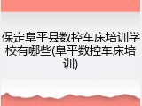 保定阜平县数控车床培训学校有哪些(阜平数控车床培训)