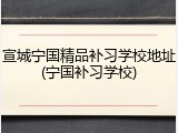 宣城宁国精品补习学校地址(宁国补习学校)