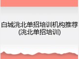 白城洮北单招培训机构推荐(洮北单招培训)