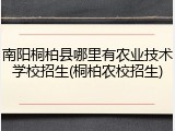 南阳桐柏县哪里有农业技术学校招生(桐柏农校招生)