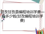 甘孜甘孜县编程培训学费一般多少钱(甘孜编程培训学费)