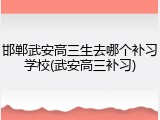 邯郸武安高三生去哪个补习学校(武安高三补习)