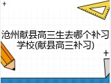 沧州献县高三生去哪个补习学校(献县高三补习)