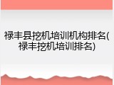 禄丰县挖机培训机构排名(禄丰挖机培训排名)