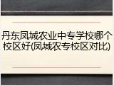 丹东凤城农业中专学校哪个校区好(凤城农专校区对比)