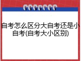 自考怎么区分大自考还是小自考(自考大小区别)