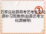 石家庄赵县高考艺考生文化课补习班推荐(赵县艺考文化课辅导)