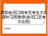 襄阳老河口高考艺考生文化课补习班推荐(老河口艺考文化班)