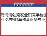 乌海海勃湾农业职高学校读什么专业(海勃湾职高专业)
