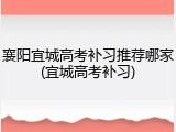 襄阳宜城高考补习推荐哪家(宜城高考补习)