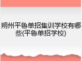 朔州平鲁单招集训学校有哪些(平鲁单招学校)