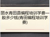 丽水青田县编程培训学费一般多少钱(青田编程培训学费)