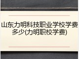 山东力明科技职业学校学费多少(力明职校学费)