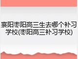 襄阳枣阳高三生去哪个补习学校(枣阳高三补习学校)