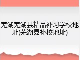 芜湖芜湖县精品补习学校地址(芜湖县补校地址)