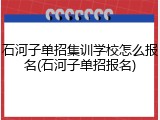 石河子单招集训学校怎么报名(石河子单招报名)