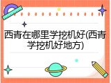 西青在哪里学挖机好(西青学挖机好地方)