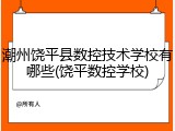 潮州饶平县数控技术学校有哪些(饶平数控学校)
