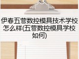 伊春五营数控模具技术学校怎么样(五营数控模具学校如何)