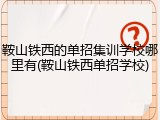 鞍山铁西的单招集训学校哪里有(鞍山铁西单招学校)