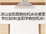 凉山金阳县数控机床在哪里学比较快(金阳学数控机床)