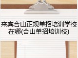 来宾合山正规单招培训学校在哪(合山单招培训校)
