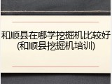 和顺县在哪学挖掘机比较好(和顺县挖掘机培训)