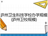 庐州卫生科技学校办学规模(庐州卫校规模)