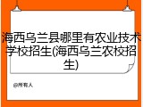 海西乌兰县哪里有农业技术学校招生(海西乌兰农校招生)
