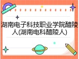 湖南电子科技职业学院醴陵人(湖南电科醴陵人)