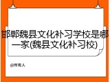 邯郸魏县文化补习学校是哪一家(魏县文化补习校)