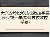 大兴安岭松岭技校数控学费多少钱一年(松岭技校数控学费)