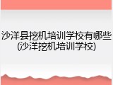 沙洋县挖机培训学校有哪些(沙洋挖机培训学校)
