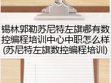 锡林郭勒苏尼特左旗哪有数控编程培训中心中职怎么样(苏尼特左旗数控编程培训)