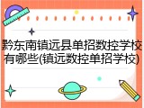 黔东南镇远县单招数控学校有哪些(镇远数控单招学校)