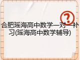 合肥瑶海高中数学一对一补习(瑶海高中数学辅导)