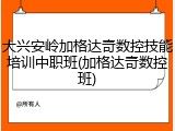 大兴安岭加格达奇数控技能培训中职班(加格达奇数控班)