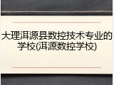 大理洱源县数控技术专业的学校(洱源数控学校)