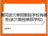 黄冈武穴单招数控学校有哪些(武穴数控单招学校)