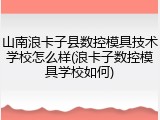 山南浪卡子县数控模具技术学校怎么样(浪卡子数控模具学校如何)