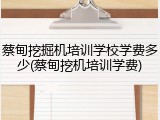 蔡甸挖掘机培训学校学费多少(蔡甸挖机培训学费)