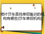 喀什莎车县找单招集训的机构有哪些(莎车单招机构)